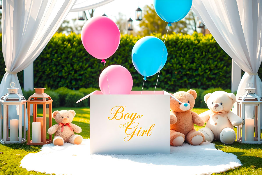 box party gender reveal catania
